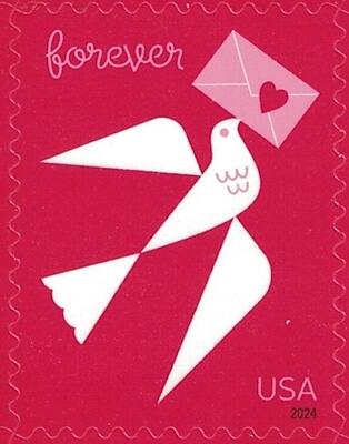 forever  
USA 2024