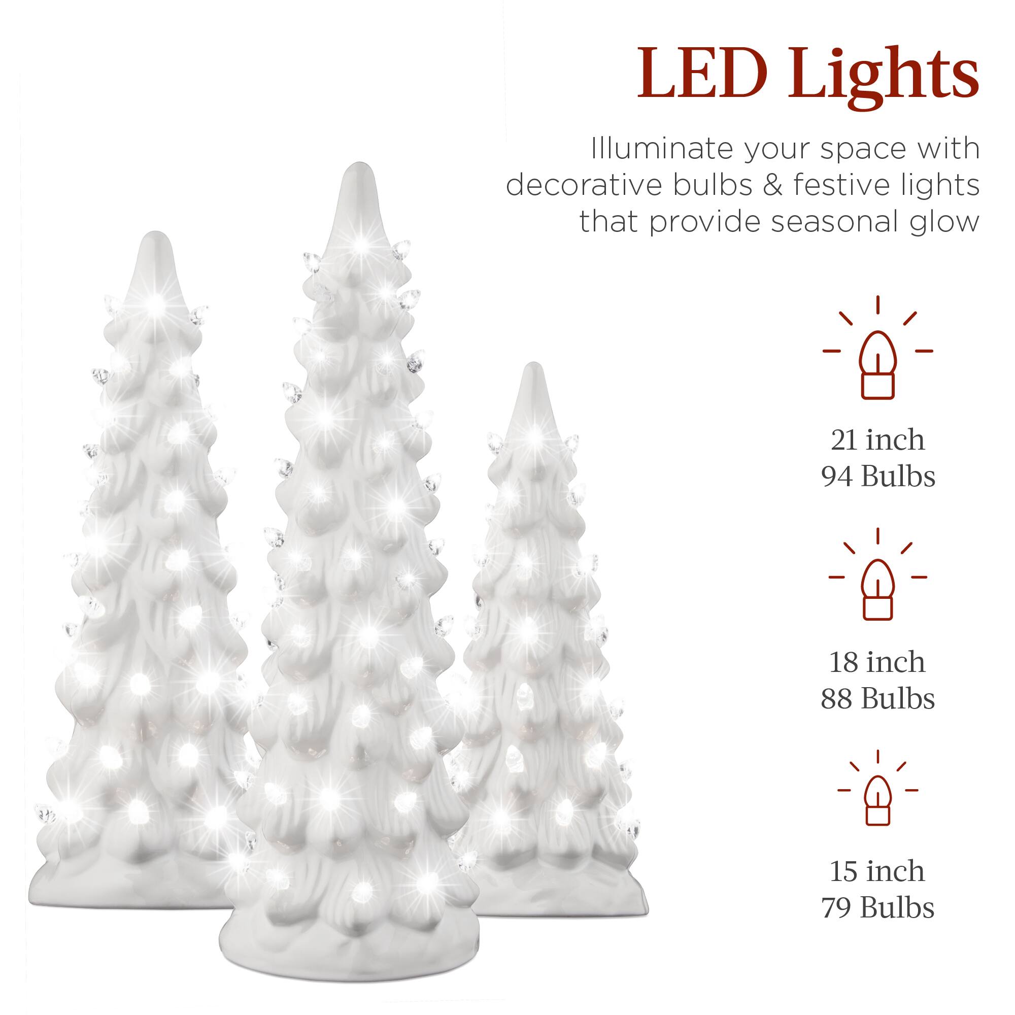 LED Lights  
Illuminate your space with decorative bulbs & festive lights that provide seasonal glow  

21 inch  
94 Bulbs  

18 inch  
88 Bulbs  

15 inch  
79 Bulbs
