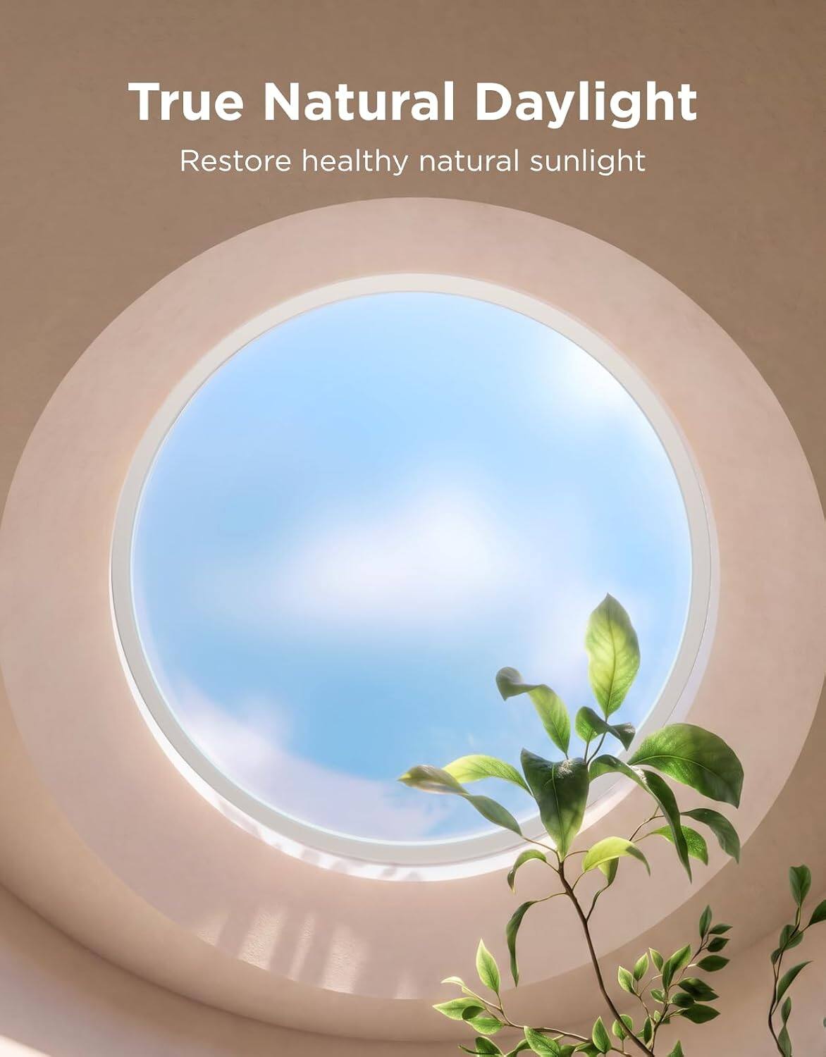 True Natural Daylight  
Restore healthy natural sunlight
