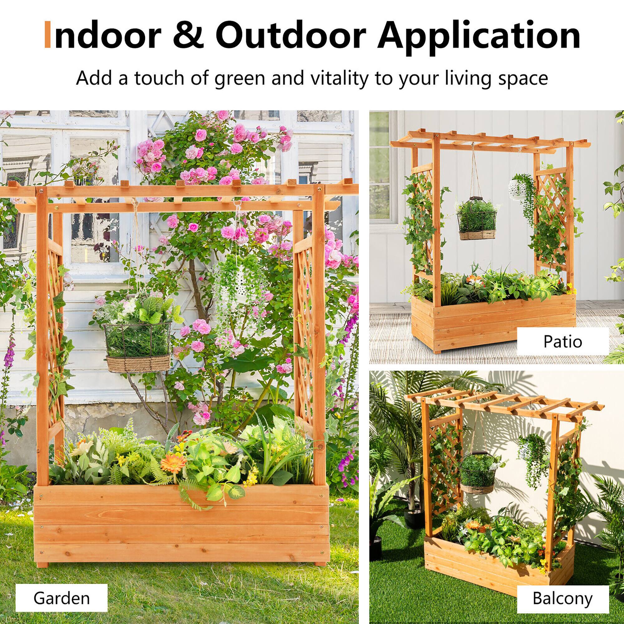 Indoor & Outdoor Application

Add a touch of green and vitality to your living space

Garden

Patio

Balcony
