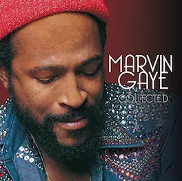 Marvin Gaye - Collected - VINYL LP