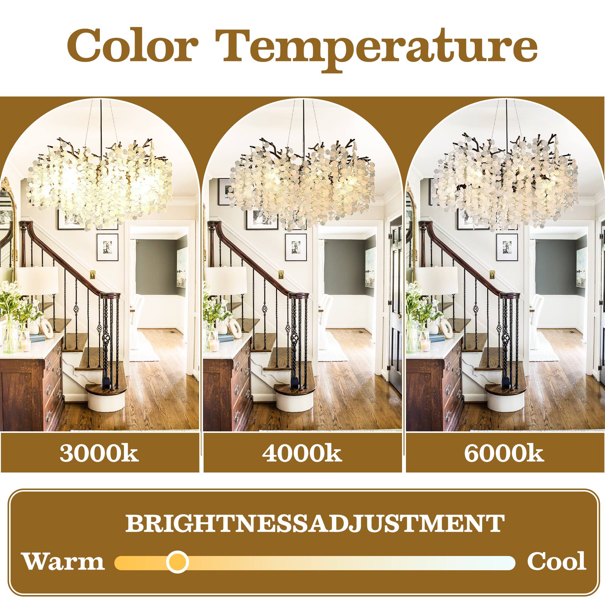 Color Temperature

3000k 4000k 6000k

BRIGHTNESS ADJUSTMENT

Warm Cool