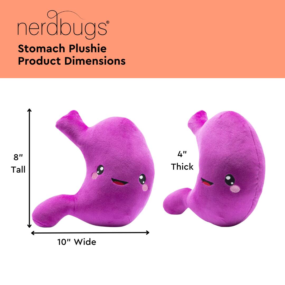nerdbugs®  
Stomach Plushie  
Product Dimensions  

8" Tall  
4" Thick  
10" Wide