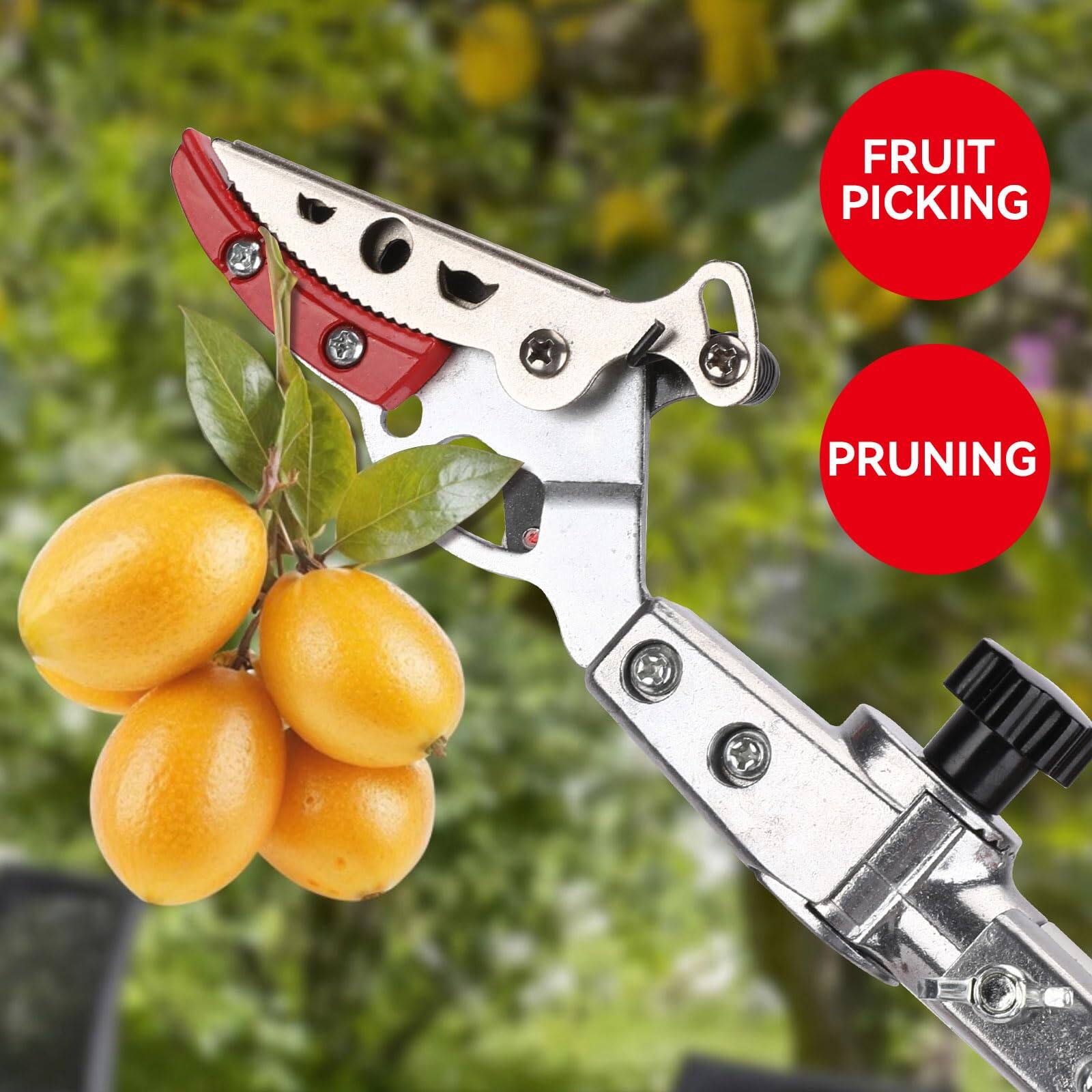 FRUIT PICKING  
PRUNING