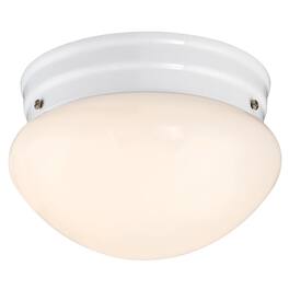 Westinghouse - Polished Switch LED Light Fixture
