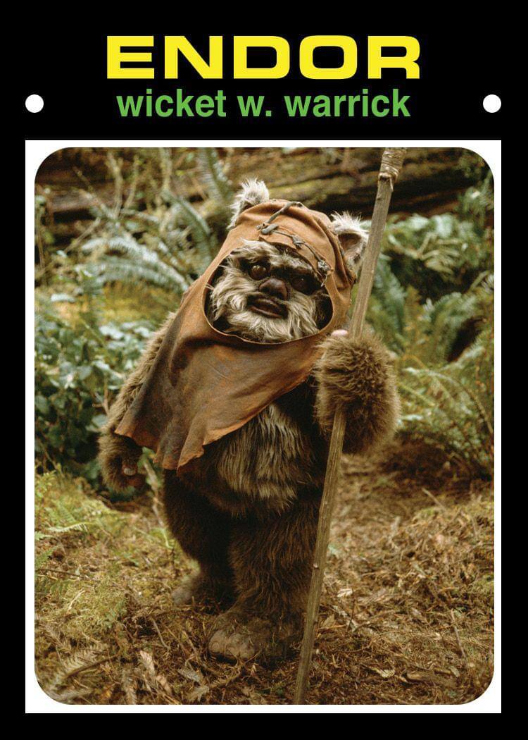 ENDOR  
wicket w. warrick