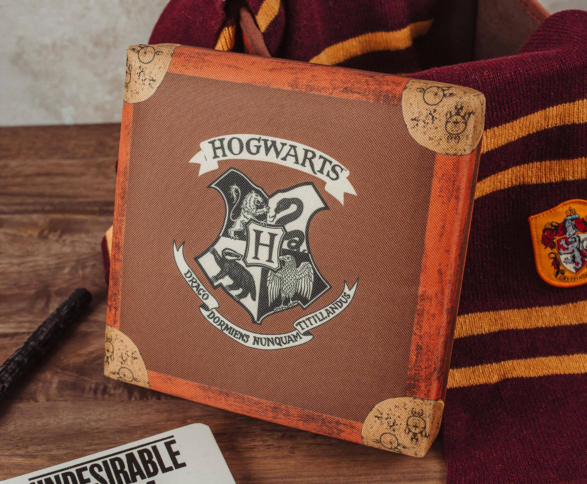 HOGWARTS  
DRACO DORMIENS  
TITILLANDUS  
NUNQUAM CEEEPIND  
EARESIRABLE 1

UNDESIRABLE