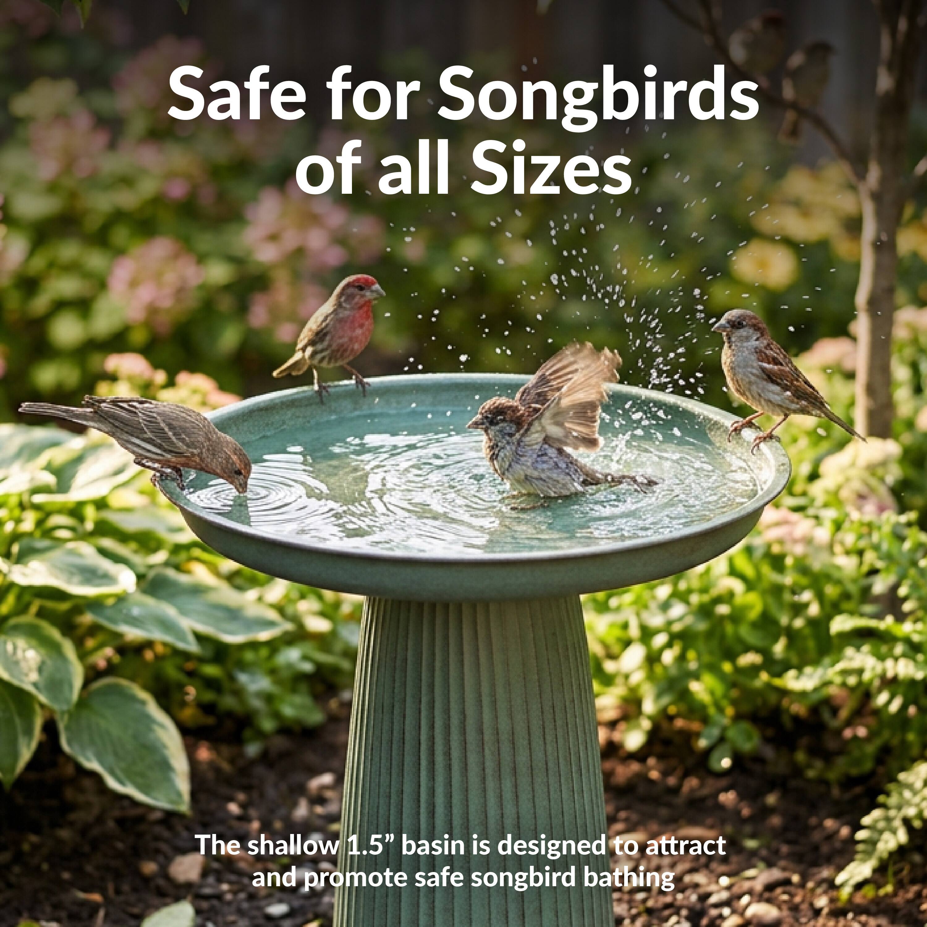 Safe for Songbirds of all Sizes

The shallow 1.5" basin is designed to attract and promote safe songbird bathing