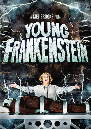 Front. Young Frankenstein - DVD.