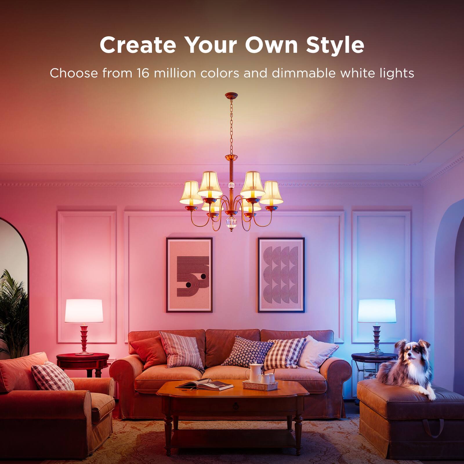 Create Your Own Style  
Choose from 16 million colors and dimmable white lights