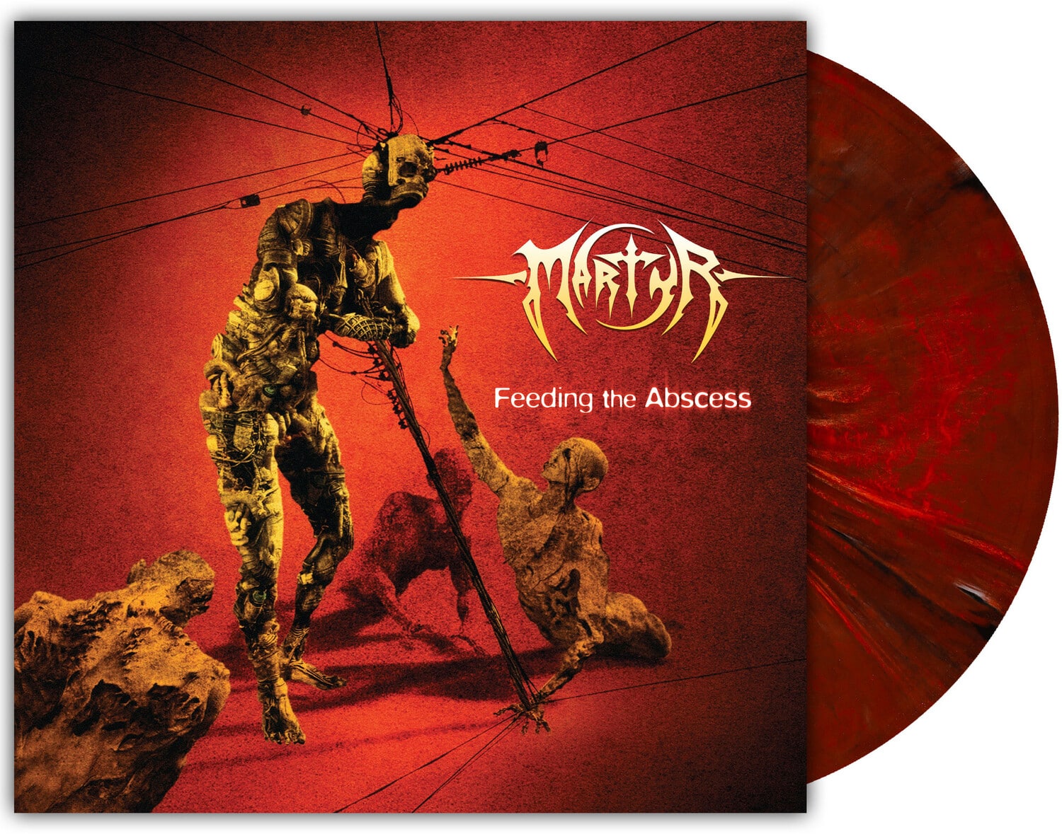 Martyr - Feeding The Abscess   - VINYL LP price history on PriceWatchPro