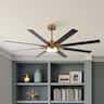 Parrot Uncle - 65-inch Indoor LED Ceiling Fan with Light and Remote Control, 8 Reversible Blades, DC Reversible Motor - Gold