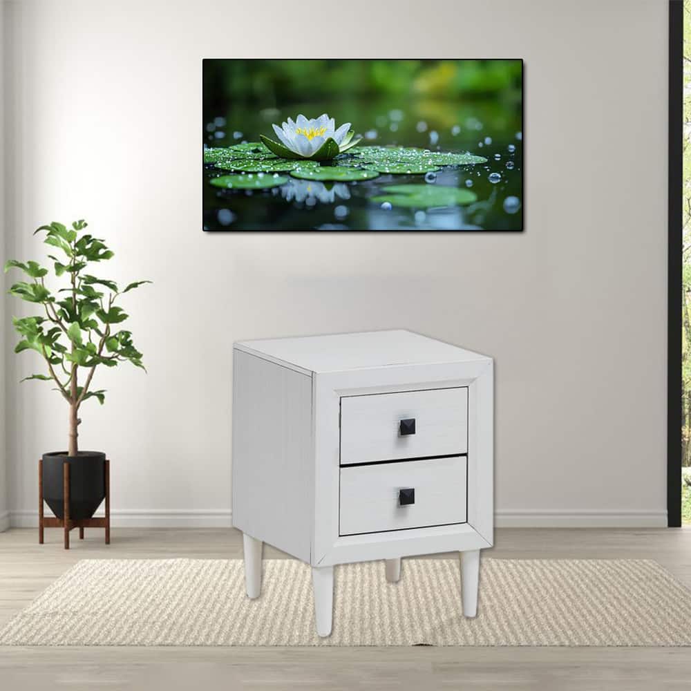 Hivvago - Classic Wooden Nightstand with 2 Drawers for Multi-Functional Use - White