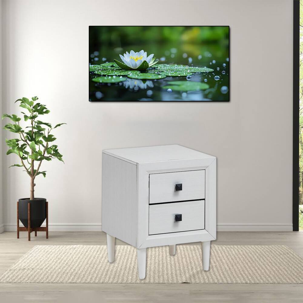 Hivvago - Classic Wooden Nightstand with 2 Drawers for Multi-Functional Use - White