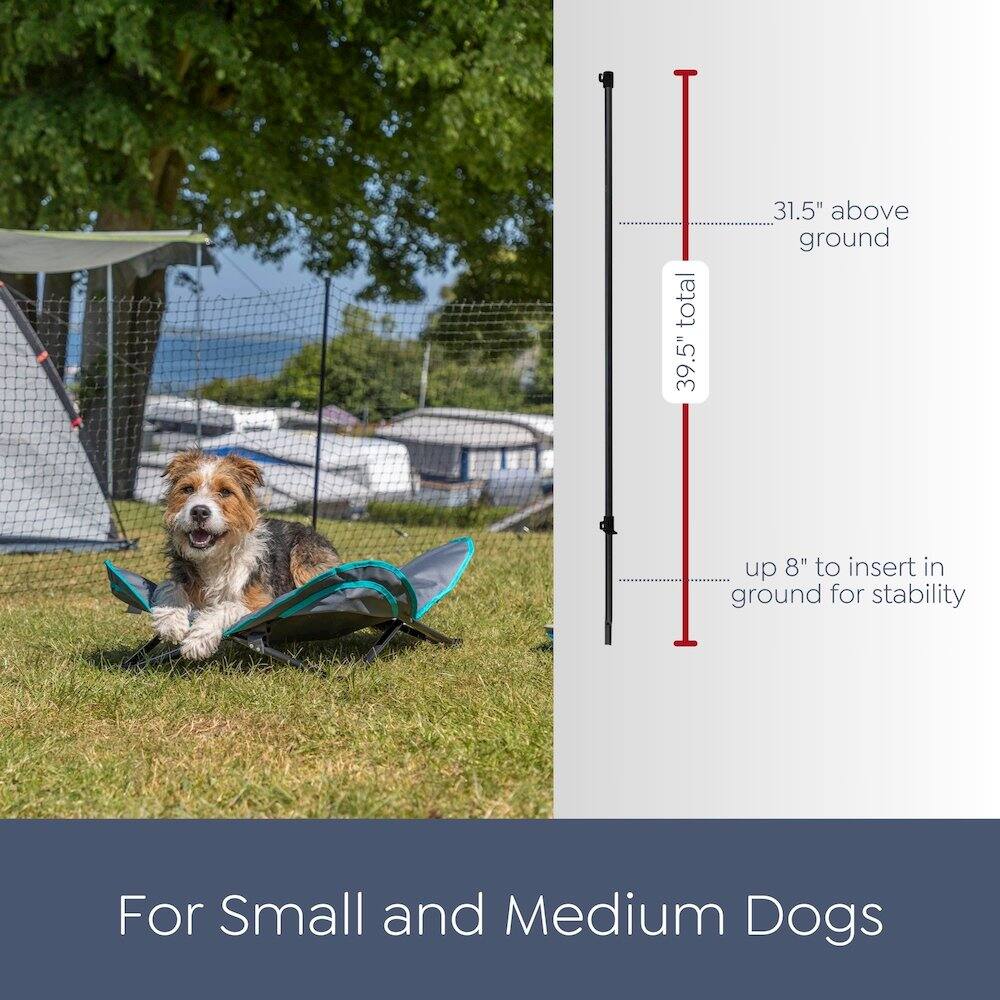 total 39.5"  
31.5" above ground  
up 8" to insert in ground for stability  
For Small and Medium Dogs