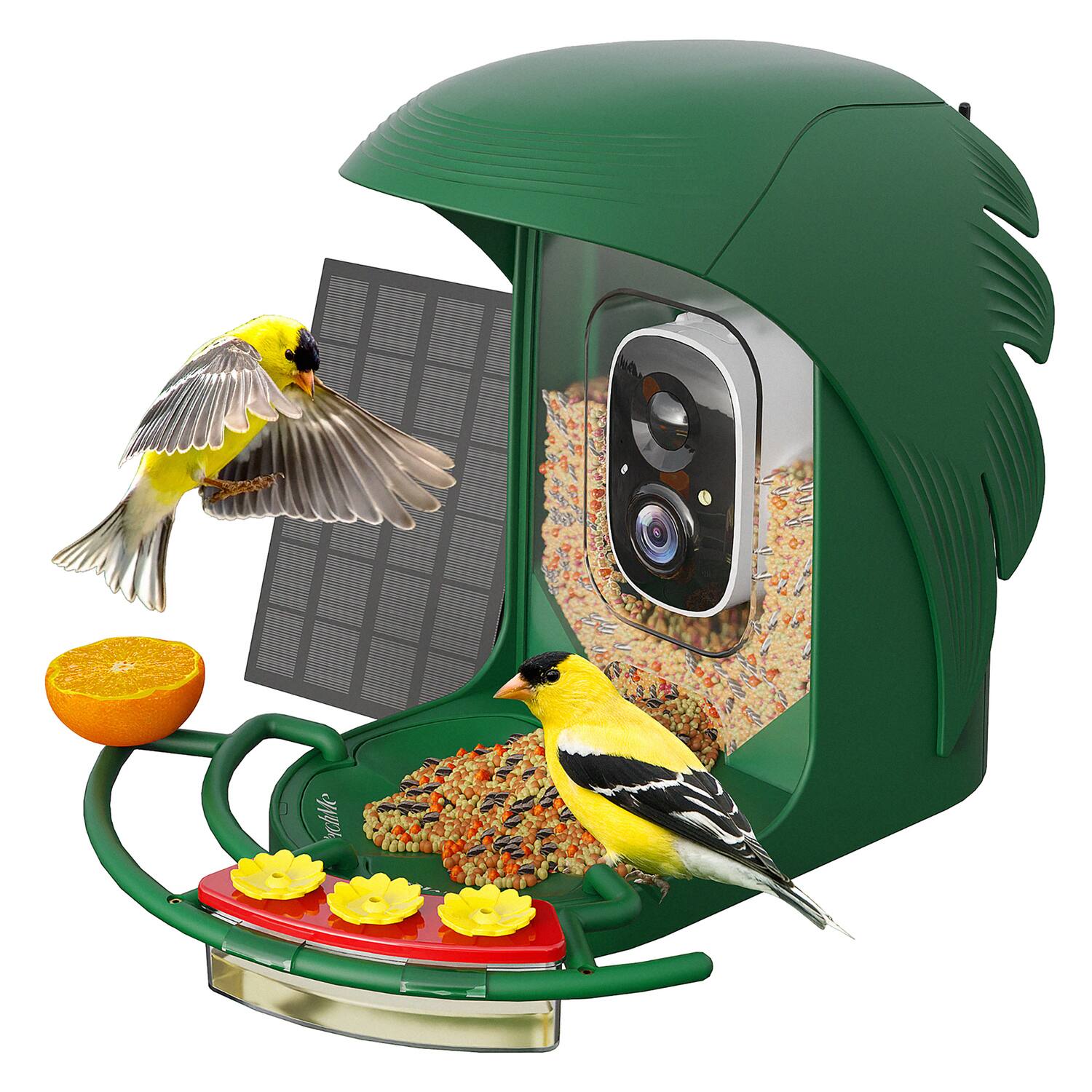 Back. PerchMe - AI-Recognition Smart Bird Feeder with Camera, Solar Powered - Forest Green.
