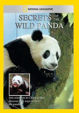 Secrets of the Wild Panda - DVD
