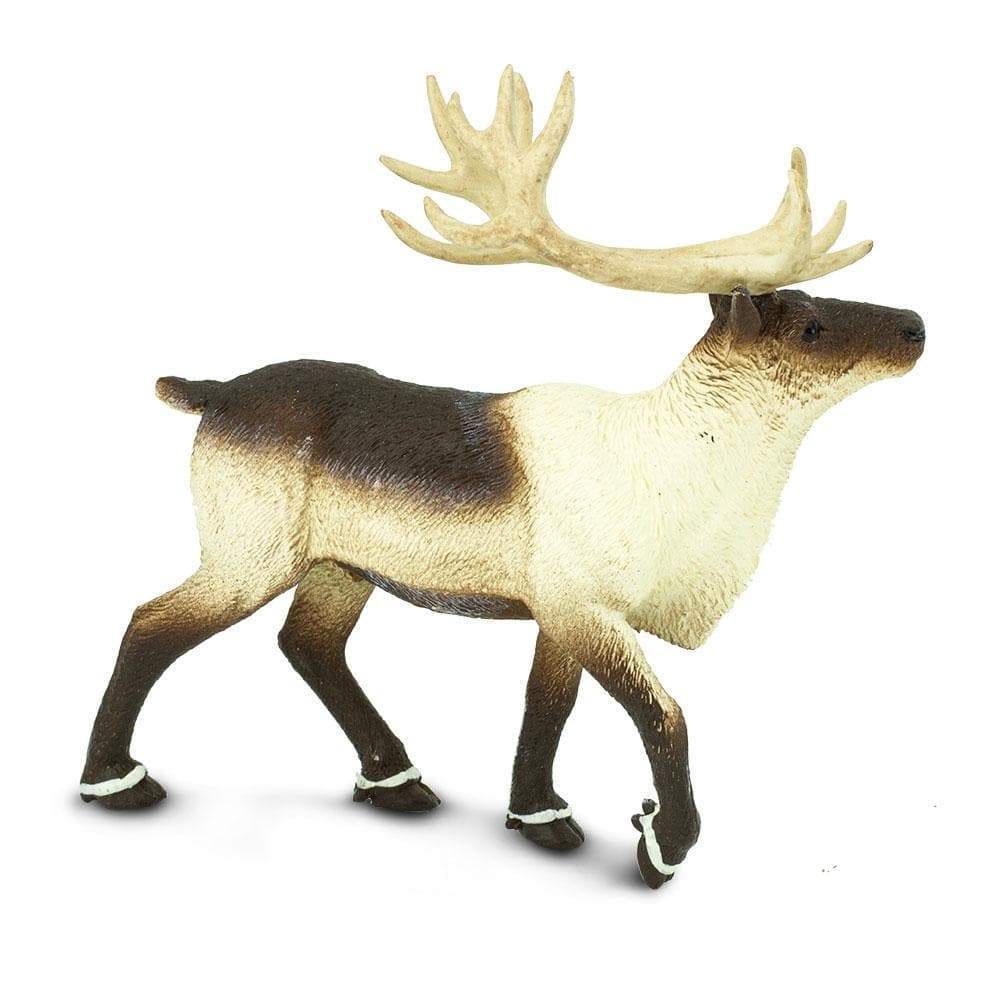 Angle. Safari Ltd. - Reindeer Toy Figurine.