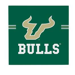 Evergreen Enterprises - South Florida Bulls 12" x 12" Wood Wall Sign - Multicolor