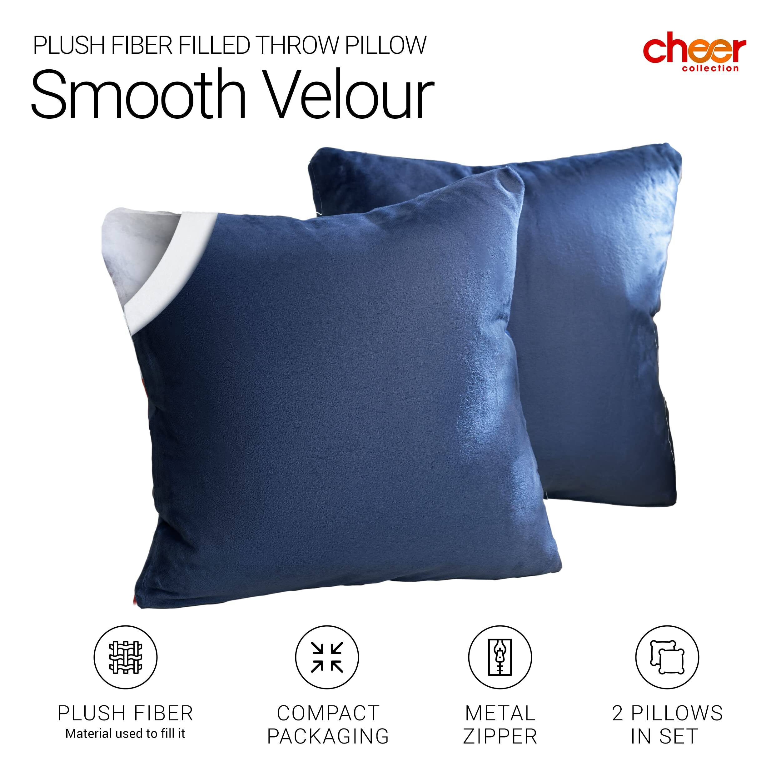 PLUSH FIBER FILLED THROW PILLOW  
Smooth Velour  

cheer collection  

PLUSH FIBER  
Material used to fill it  

COMPACT PACKAGING  

METAL ZIPPER  

2 PILLOWS IN SET
