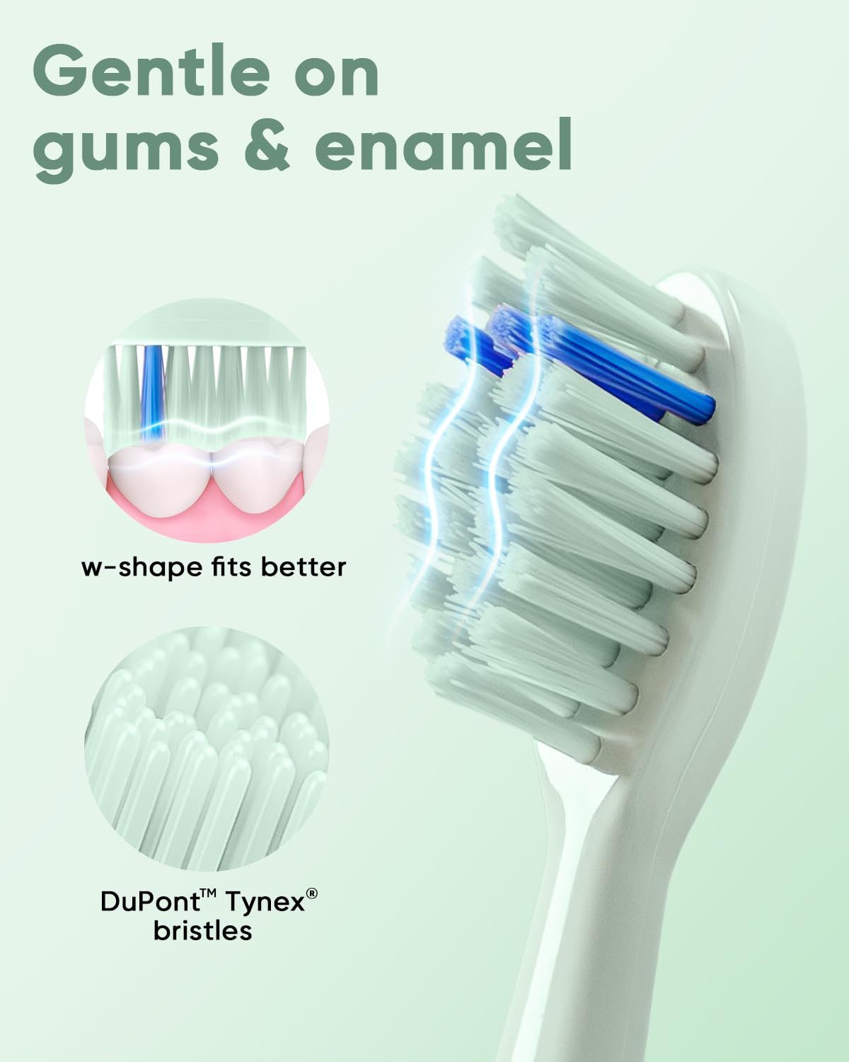 Gentle on gums & enamel  
w-shape fits better  
DuPont™ Tynex® bristles