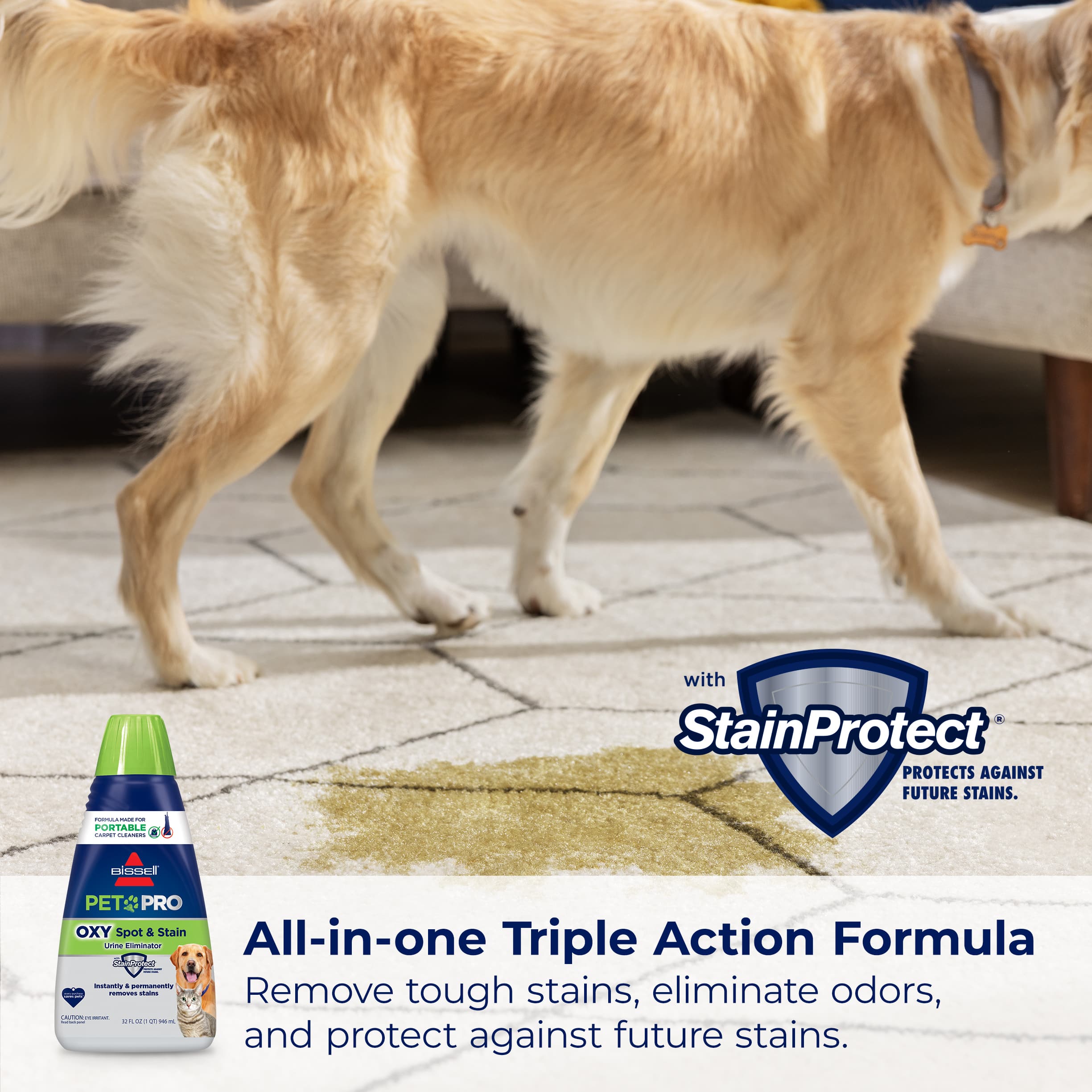 The text on the image reads: "with StainProtect PROTECTS AGAINST FUTURE STAINS. PETS: PRO OXY Spot & Stain All-in-one Action Formula. Remove tough stains, eliminate odors, and protect against future stains."
