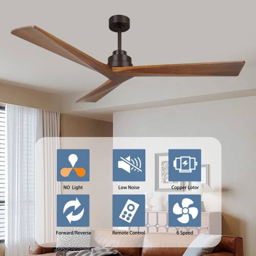 NO Light Low Noise Copper Lotor Forward/Reverse Remote Control 6 Speed