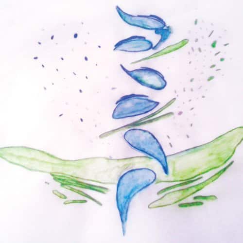 Fis - Iterations  - VINYL LP