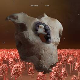 Soap&Skin - Torso - VINYL LP