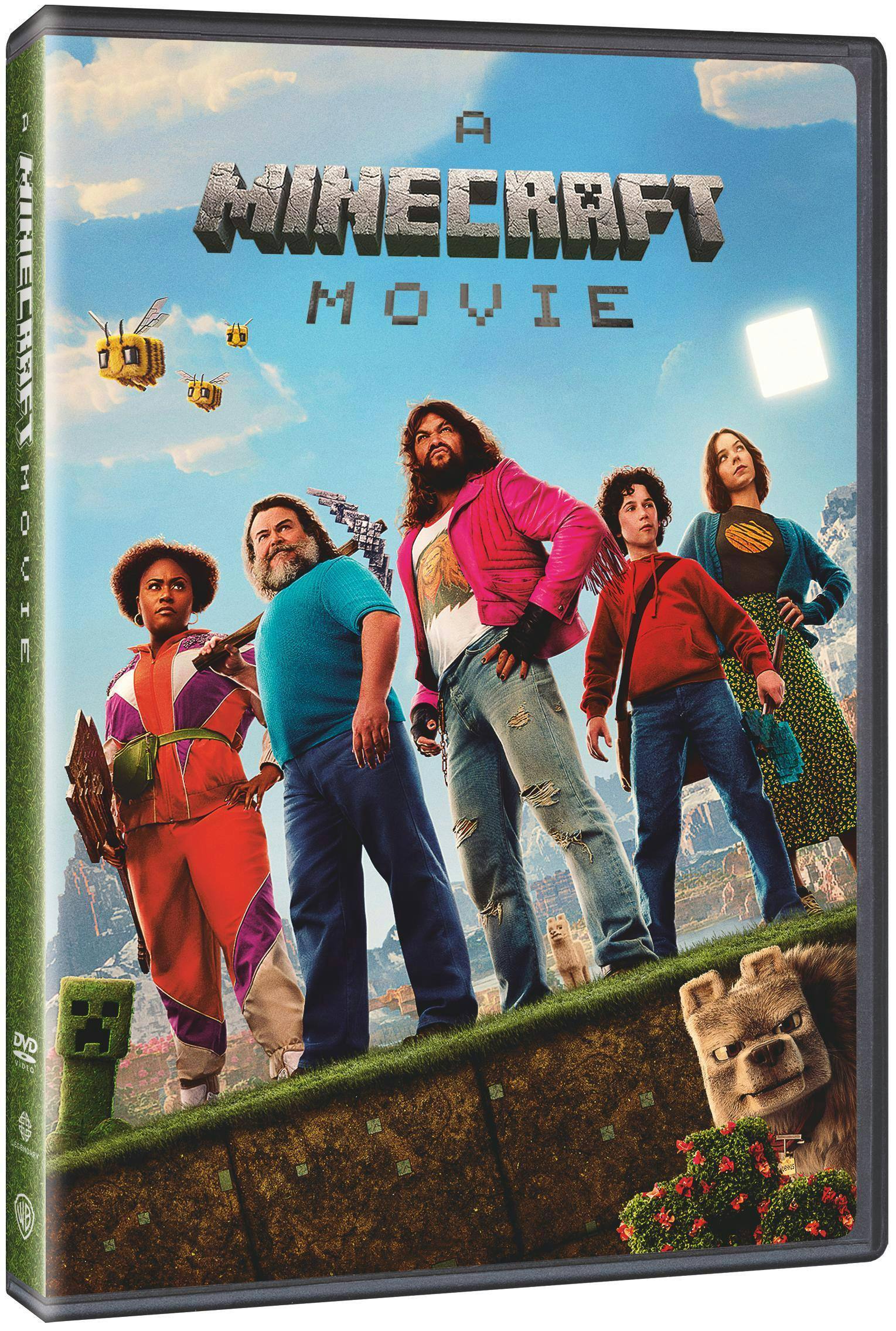 Angle. A Minecraft Movie [DVD].