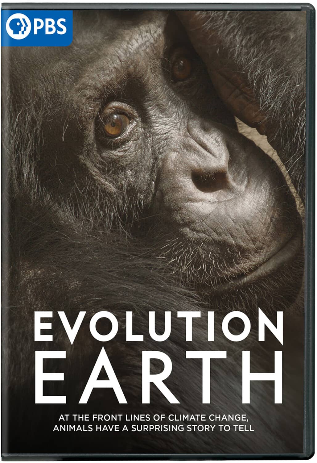 Evolution Earth  - DVD