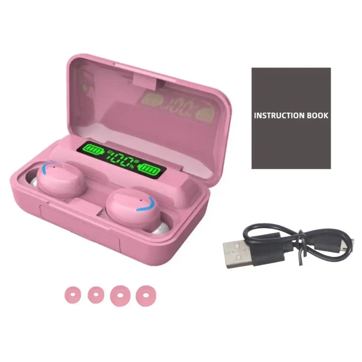 100 M  
INSTRUCTION BOOK