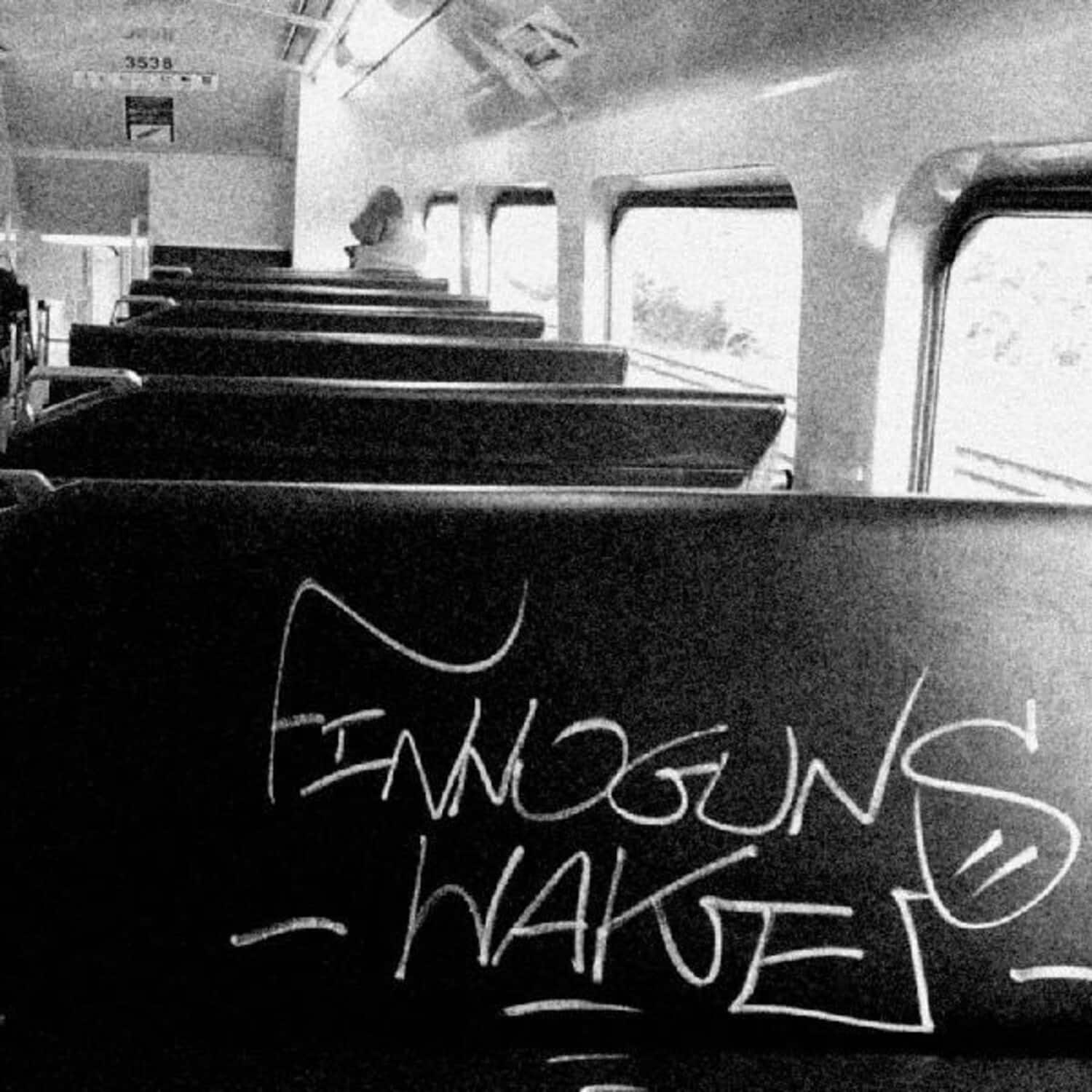 Finnoguns Wake - Stay Young   - VINYL LP price history on PriceWatchPro