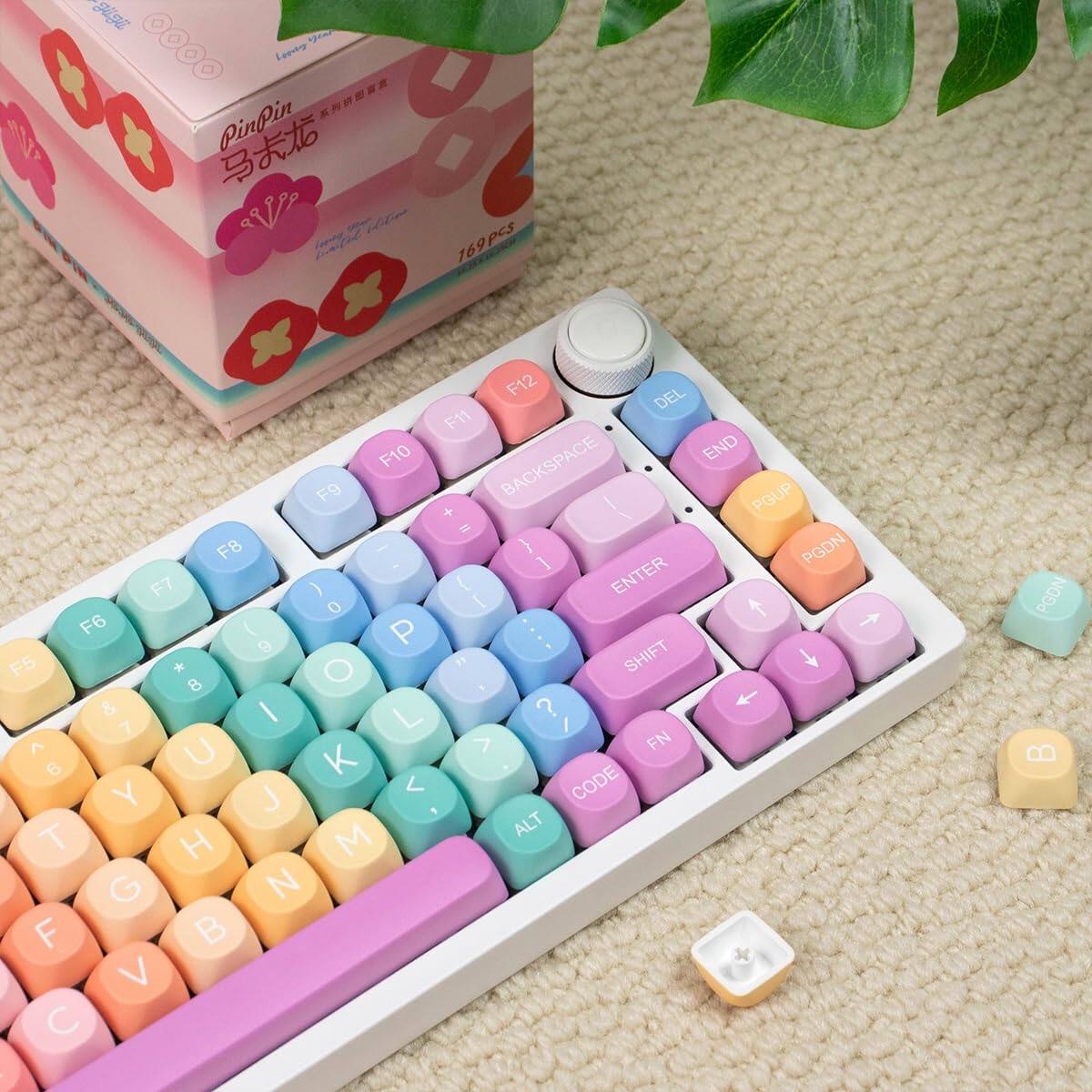 PinPin  
马卡龙  
169PCS  

F12  
F11  
F10  
F9  
BACKSPACE  
PGUP  
DEL  
END  
ENTER  
SHIFT  
CODE  
ALT  
FN  
PGDN  
SPACE  

1  
2  
3  
4  
5  
6  
7  
8  
9  
0  
-  
=  
+  
(  
)  
[  
]  
\  
;  
'  
,  
.  
/  
TAB  
CAPSLOCK  
SHIFT  
ENTER  
CTRL  
ALT  
FN  
PGDN  

A  
S  
D  
F  
G  
H  
J  
K  
L  
;  
'  
,  
.  
/  
Q  
W  
E  
R  
T  
Y  
U  
I  
O  
P  
[  
]  
\  
Z  
X  
C  
V  
B  
N  
M  
,  
.  
/  
ALT  
FN  
PGDN  

DEL  
END  
PGUP  
ENTER  
SHIFT  
CODE  
ALT  
FN  
PGDN