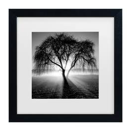 Trademark Fine Art - Moises Levy 'Lightning Tree I' Matted Framed Art - Multicolor