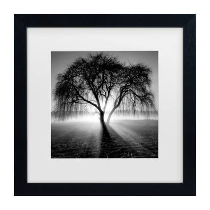 Front. Trademark Fine Art - Moises Levy 'Lightning Tree I' Matted Framed Art - Multicolor.