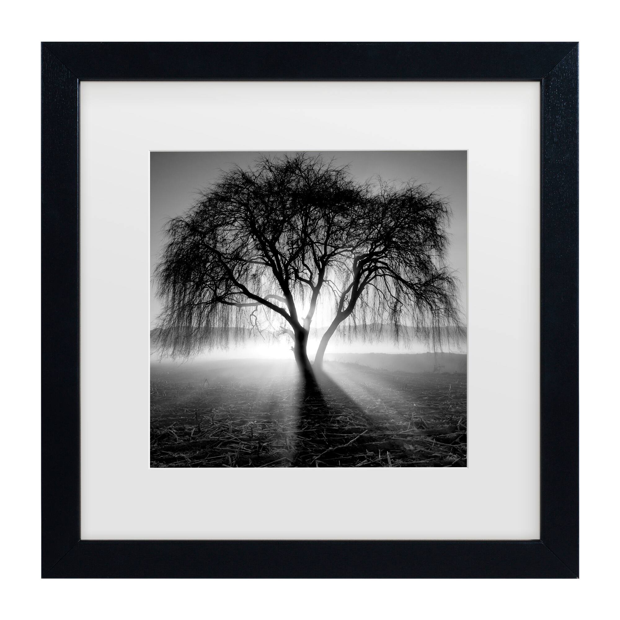 Front. Trademark Fine Art - Moises Levy 'Lightning Tree I' Matted Framed Art - Multicolor.