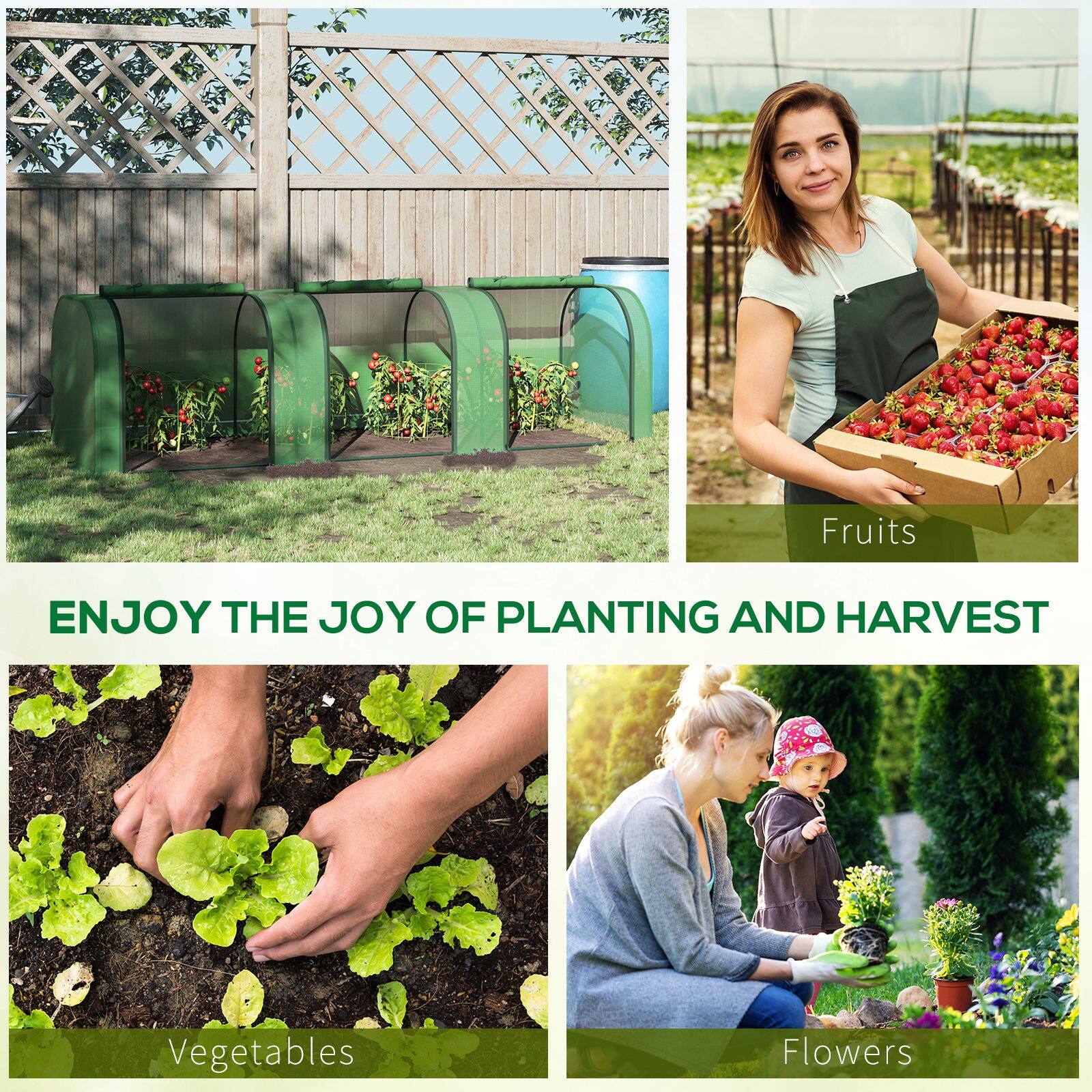 Fruits  
ENJOY THE JOY OF PLANTING AND HARVEST  
Vegetables  
Flowers