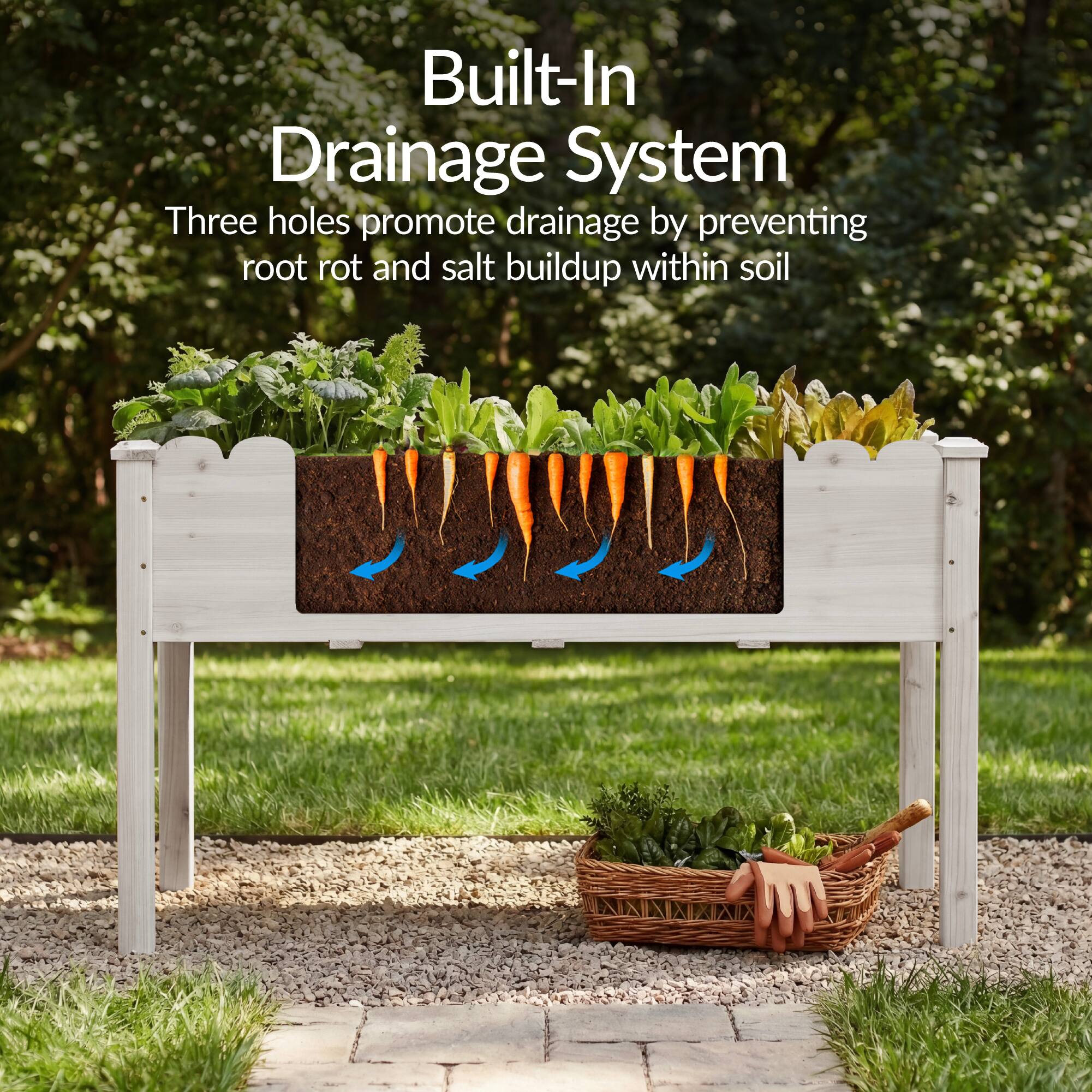 Built-In Drainage System  
Three holes promote drainage by preventing root rot and salt buildup within soil