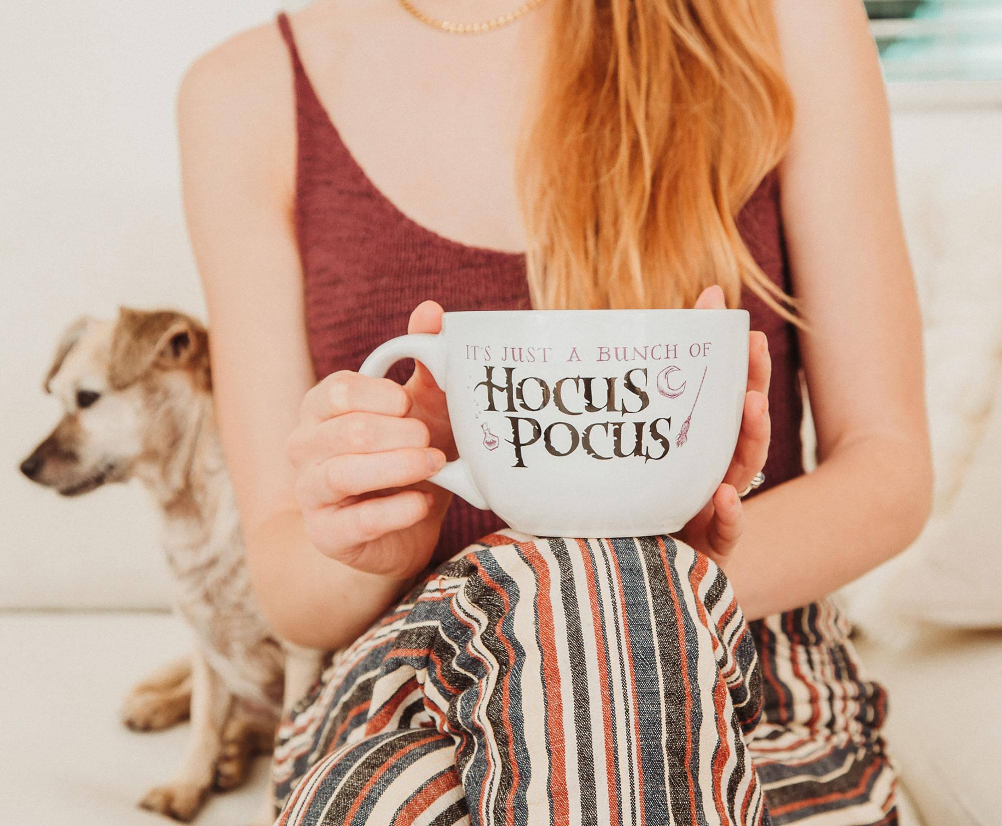 IT'S JUST A BUNCH OF HOCUS POCUS