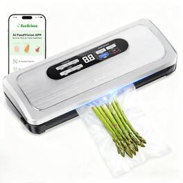 Beelicious - Food Vacuum Sealer Machine Built-in Cutter Automatic Air Sealing System Dry Moist Modes Food Preservation - Silver