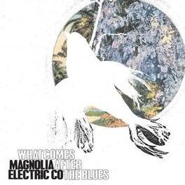 Magnolia Electric Co. - What Comes After the Blues - VINYL LP