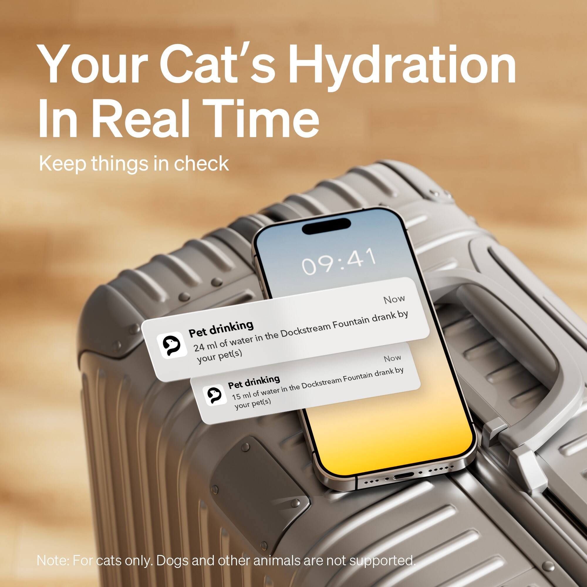 Your Cat's Hydration In Real Time: Keep things in check.

09:41 Now drank by drinking Fountain Pet in the Dockstream ml of water.
24 your pet(s)

Note: For cats only. Dogs and other animals are not supported.
