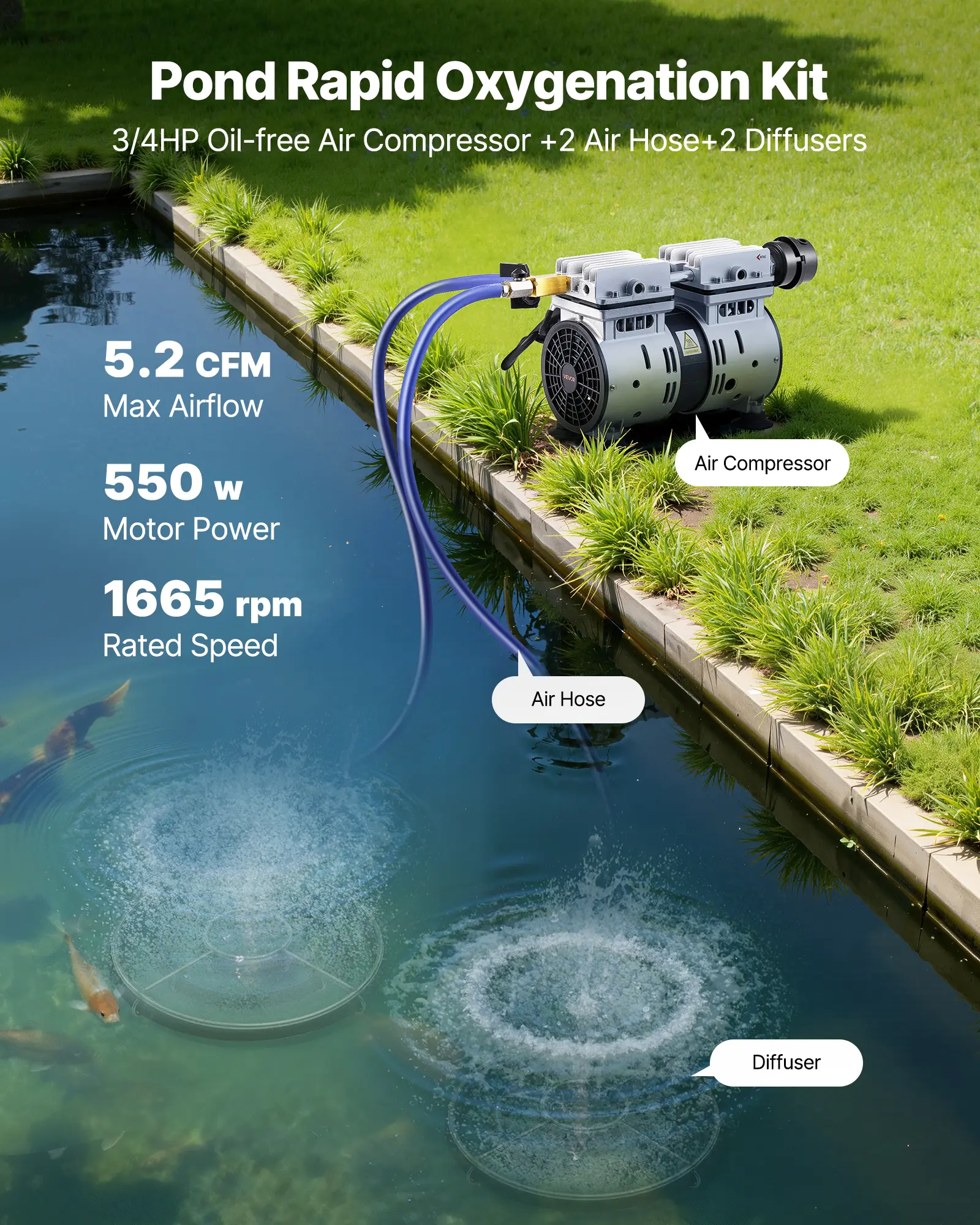 Pond Rapid Oxygenation Kit  
3/4HP Oil-free Air Compressor + 2 Air Hose + 2 Diffusers  

5.2 CFM Max Airflow  
550 W Motor Power  
1665 rpm Rated Speed  

Air Compressor  
Air Hose  
Diffuser
