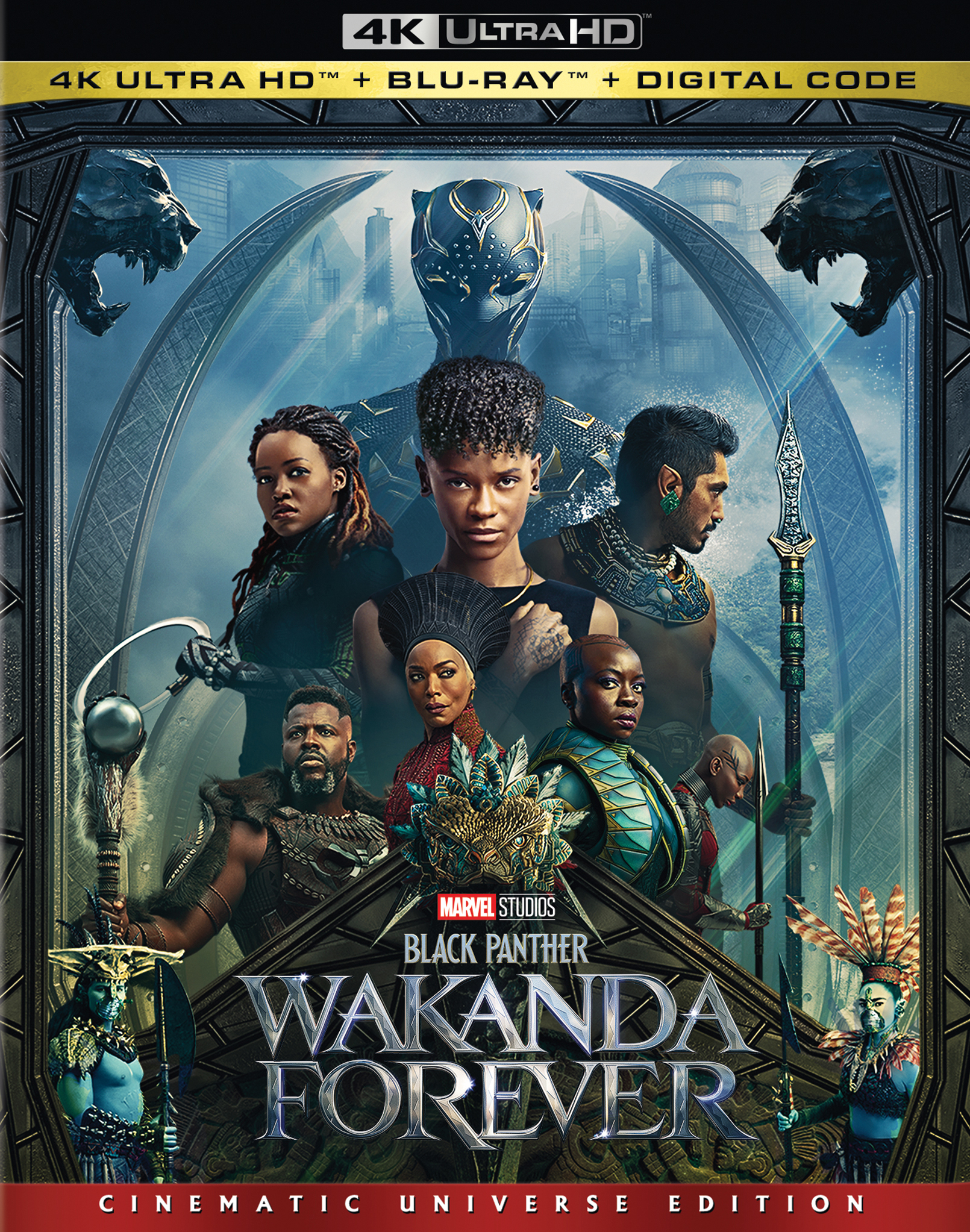 Black Panther: Wakanda Forever - Black Panther 2 (2022) 
