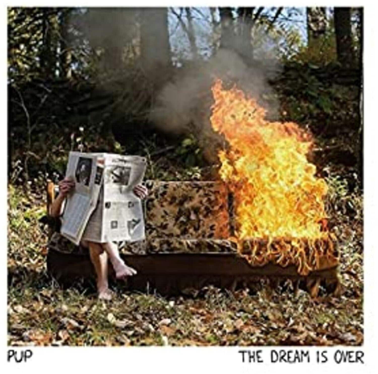 PUP - The Dream Is Over   - CASSETTES price history on PriceWatchPro
