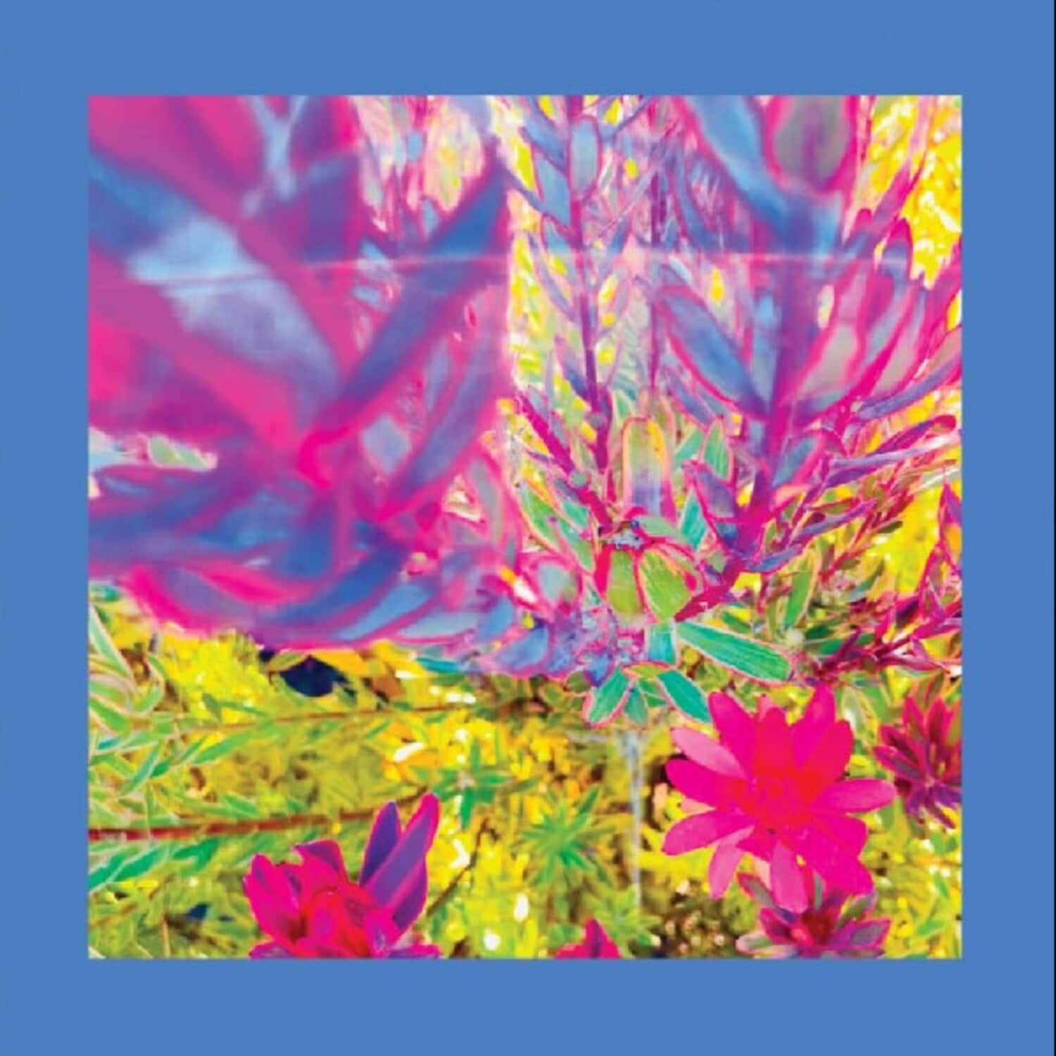 Reds Pinks & Purples - The Past is a Garden I Never Fed   - VINYL LP price history on PriceWatchPro