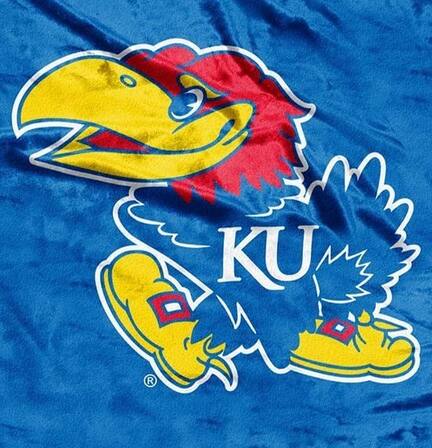 Alt View 1. Northwest - University of Kansas KU Jayhawks 50x60 School Spirit Royal Plush Raschel Throw - Multi.