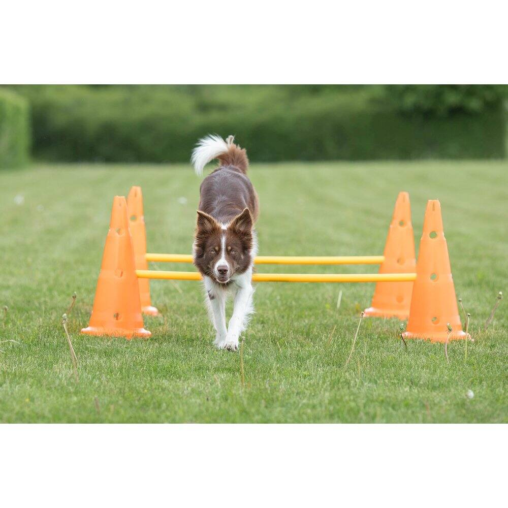 Alt View 2. TRIXIE - Dog Agility Hurdle Cone Set, Obstacle Training - Orange/Yellow.