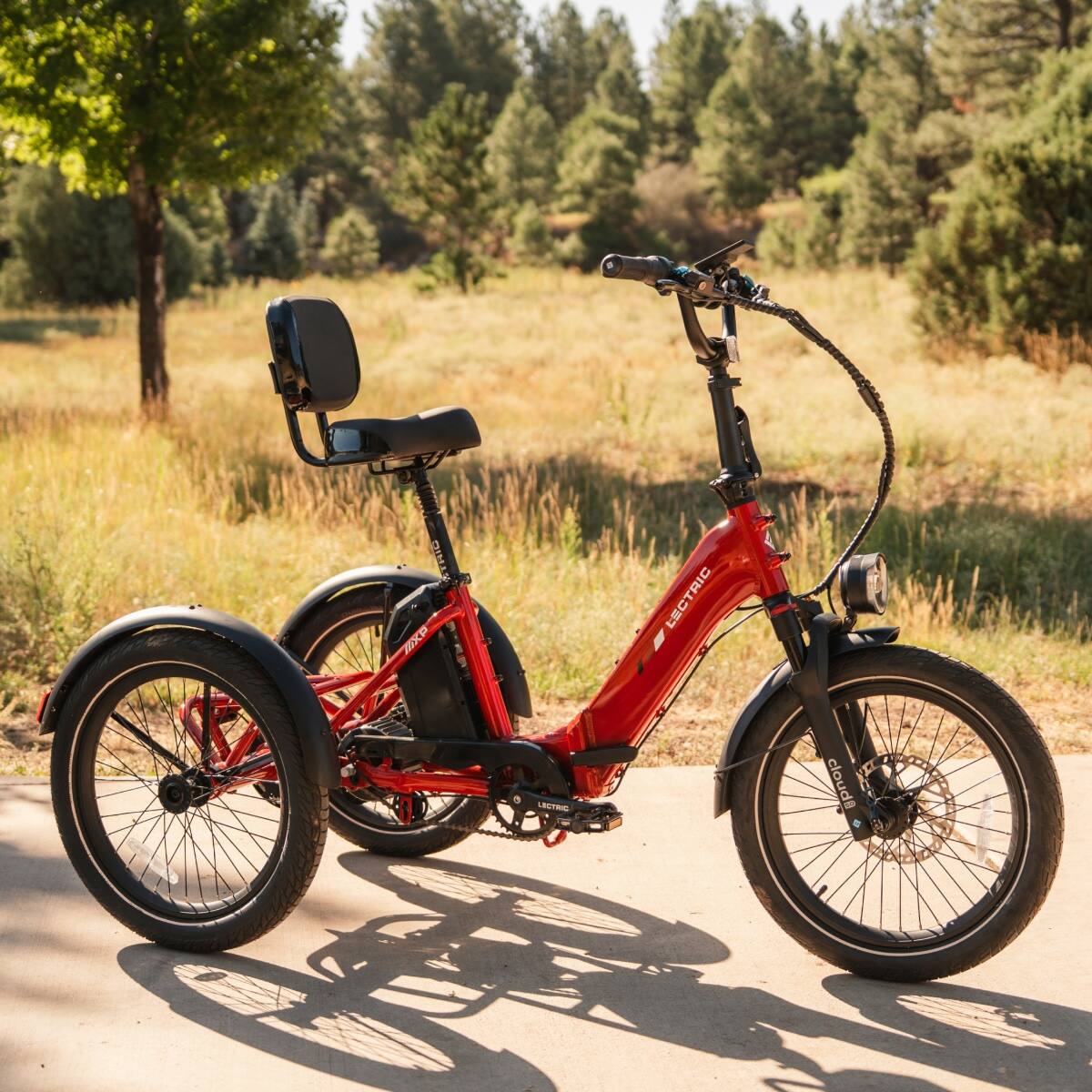 TRIC mXp N LT  
LECTRIC  
cloudi